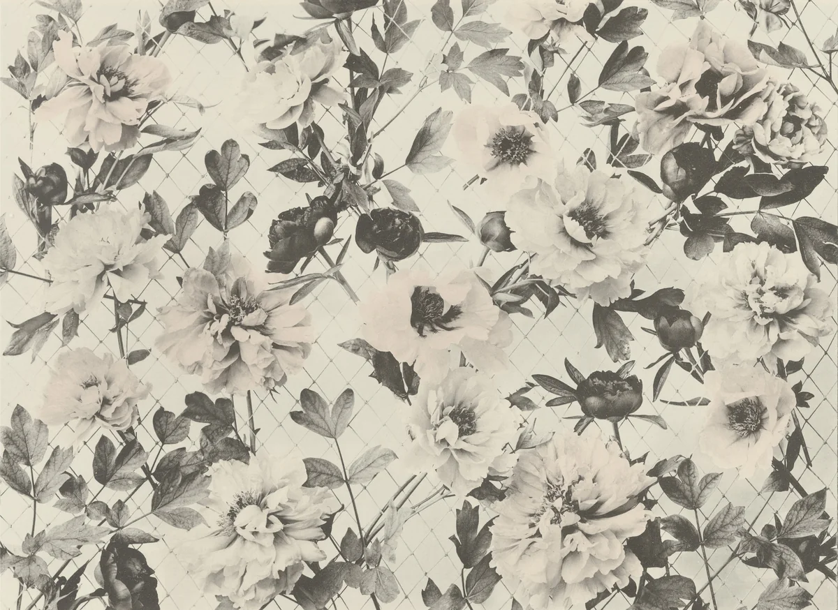 Page from Festons und Dekorative Gruppen by Unidentified Photographer, photograph, 1893