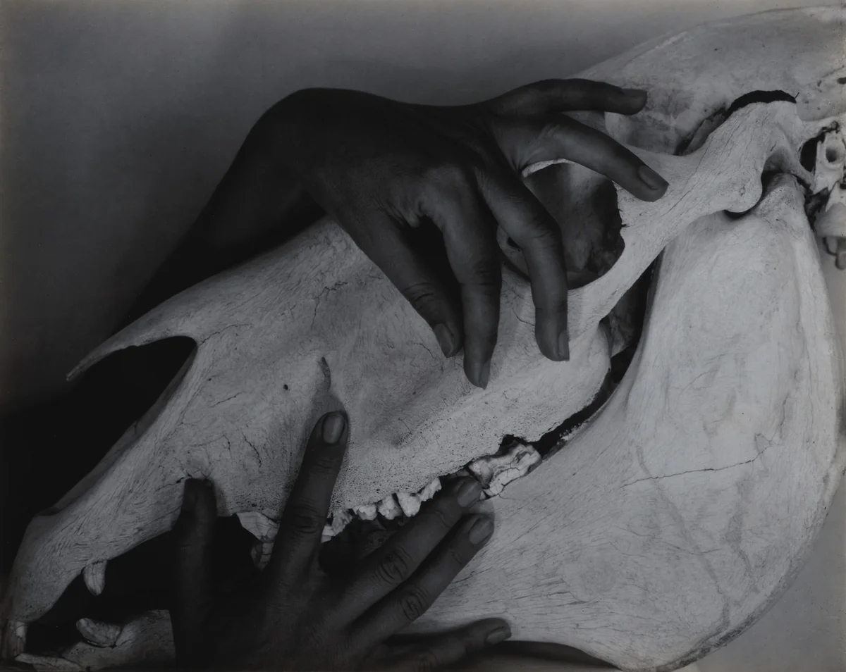 Georgia O'Keeffe—Hands and Horse Skull by Alfred Stieglitz, photograph, 1931