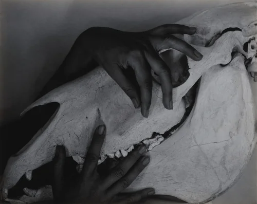 Georgia O'Keeffe—Hands and Horse Skull by Alfred Stieglitz, photograph, 1931