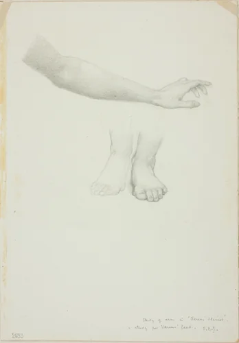 Arm and Feet, study for Mirror of Venus by Edward Burne-Jones, drawing, 1868-1883