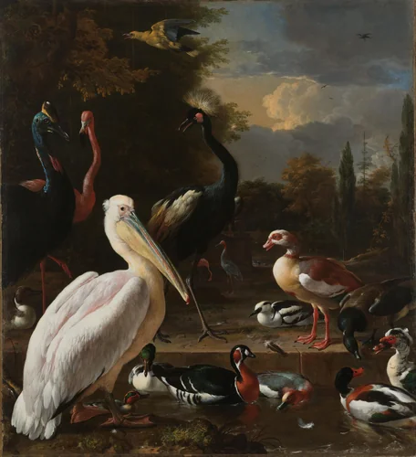 A Pelican and other Birds near a Pool, Known as ‘The Floating Feather’ by Melchior d' Hondecoeter, painting, 1680