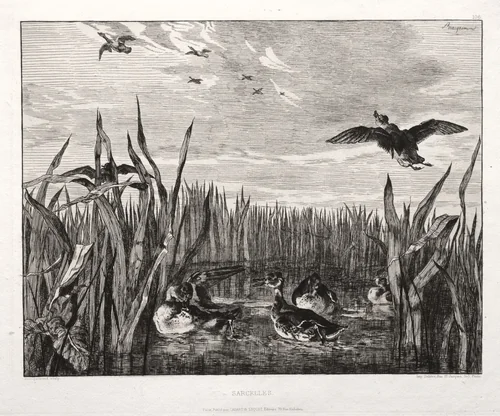 Teals by Félix Bracquemond, print, 1853