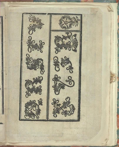 Opera Nova Universali intitulata Corona di racammi, page 38 (recto) by Giovanni Andrea Vavassore, book, 1530