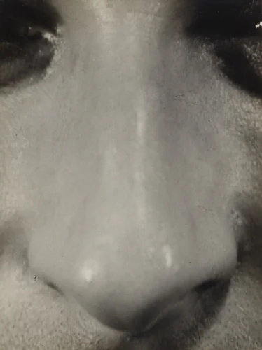 Nose by Aenne Biermann, photograph, 1929