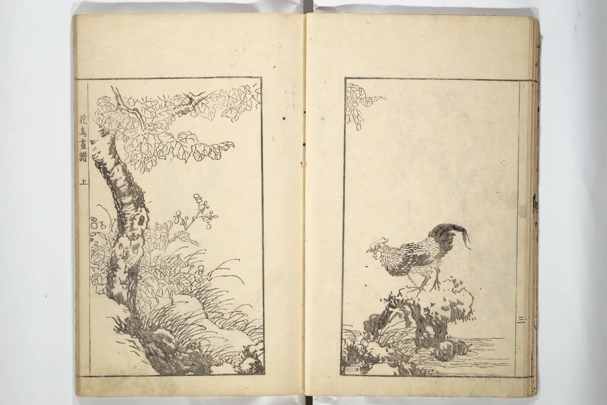 Sō Shiseki Picture Album (Sō Shiseki gafu) 宋紫石画譜 by Sō Shiseki (宋紫石), book, 1764