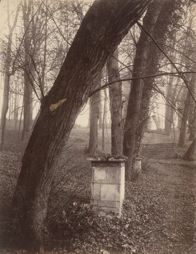 Saint-Cloud by Eugène Atget, photograph, 1924