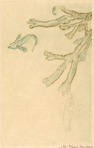 Marine Algae (Algues marines) by Pierre Roche, print, 1893