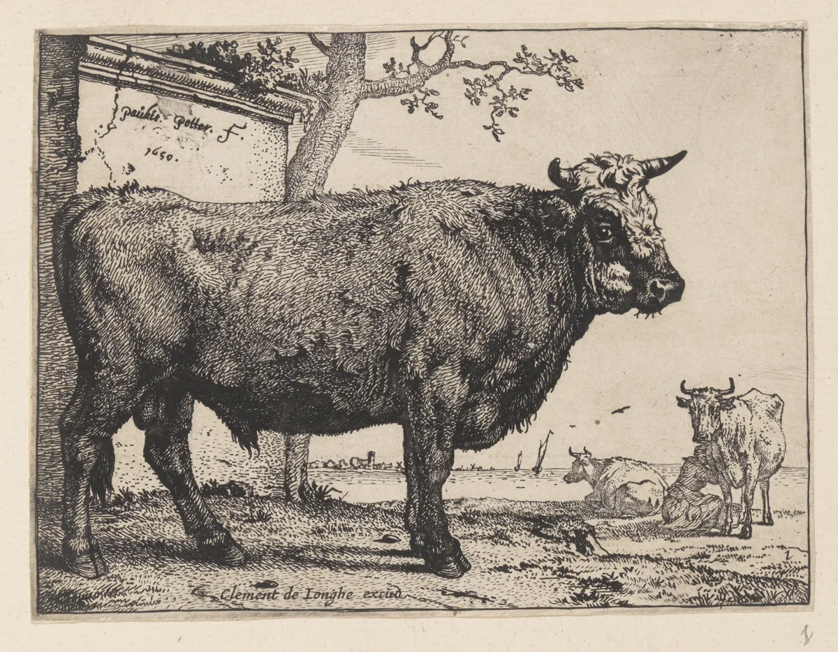 The Bull, from Various Oxen and Cows by Paulus Potter, print, 1650