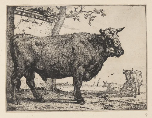 The Bull, from Various Oxen and Cows by Paulus Potter, print, 1650