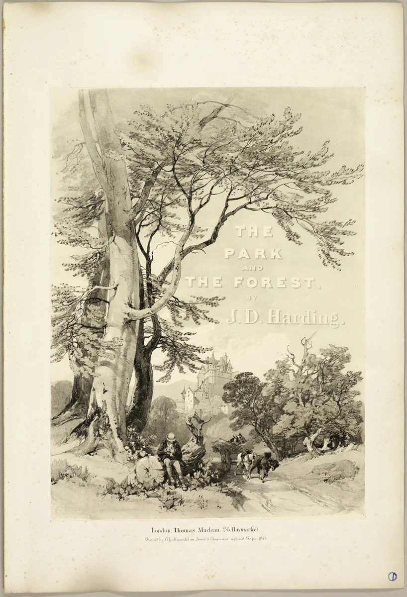 Beech and Oak (Frontispiece), from The Park and the Forest by James Duffield Harding, print, 1841