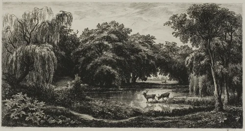 Marsh with Stags by Charles-François Daubigny, print, 1845