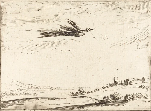 Bird of Paradise by Jacques Callot, print, 1592-1635