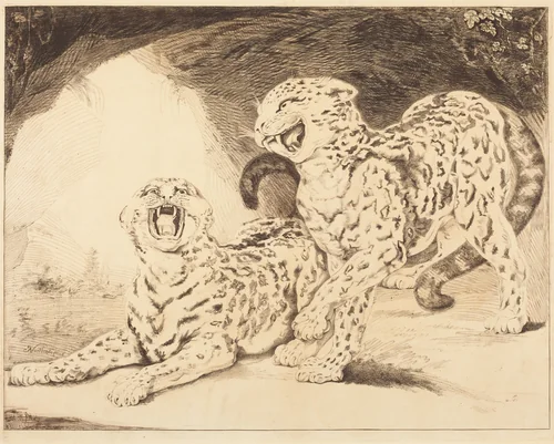 Leopards by Samuel William Reynolds I; James Northcote, print, 1798