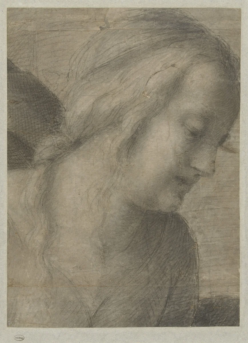 Hoofd van Maria, in een Aanbidding by Andrea del Sarto, drawing, 1518-1523