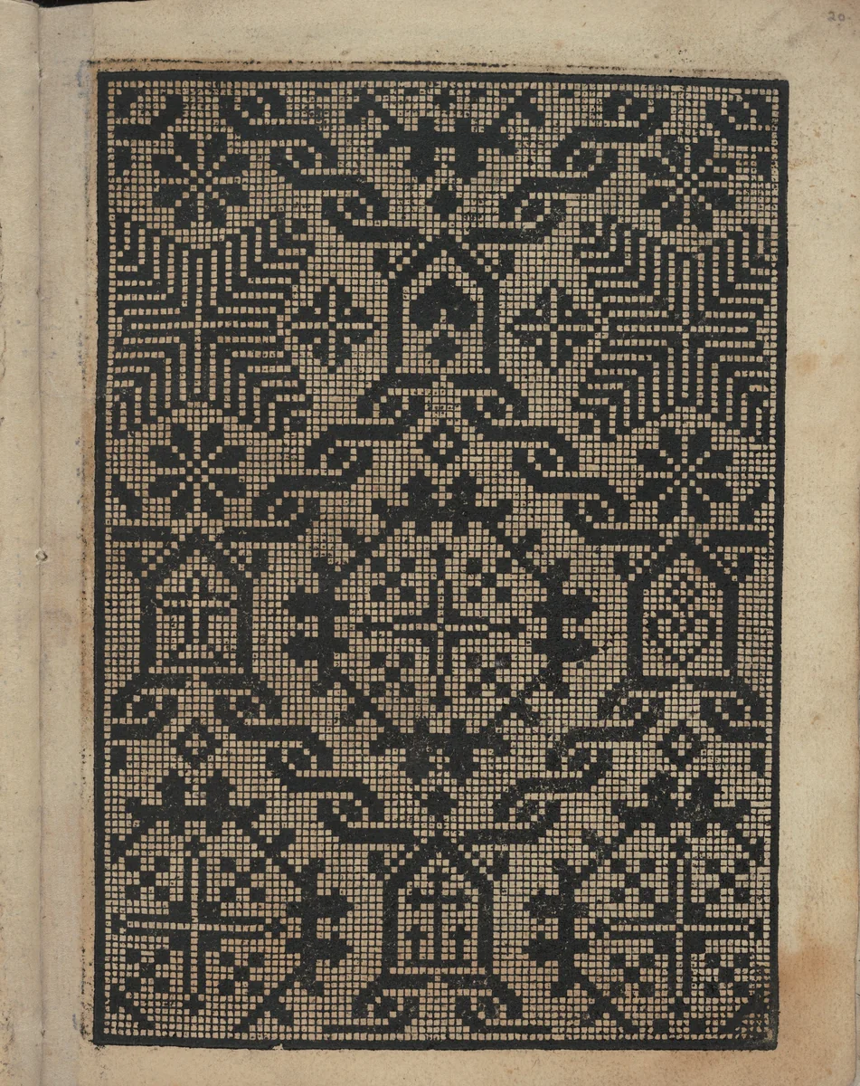 Libbretto nouellamete composto per maestro Domenico da Sera...lauorare di ogni sorte di punti, page 20 (recto) by Domenico da Sera, book, 1532