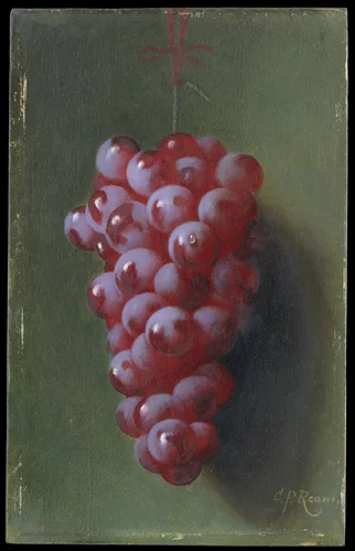Still Life with Grapes by Carducius Plantagenet Ream, artwork, 1838-1917