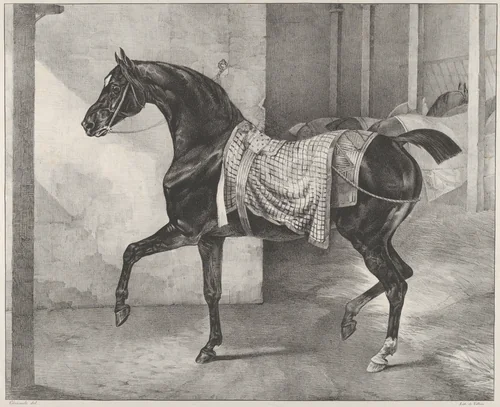 Black Horse Tethered in a Stable by Théodore Gericault, print, 1822