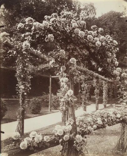 Roses, Parc de Bagatelle by Eugène Atget, photograph, 1921