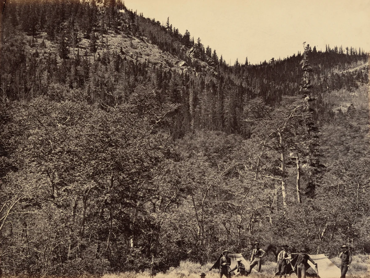 Plate 19. Among the Timber at Head of Little Laramie River by Andrew Joseph Russell, photograph, 1869