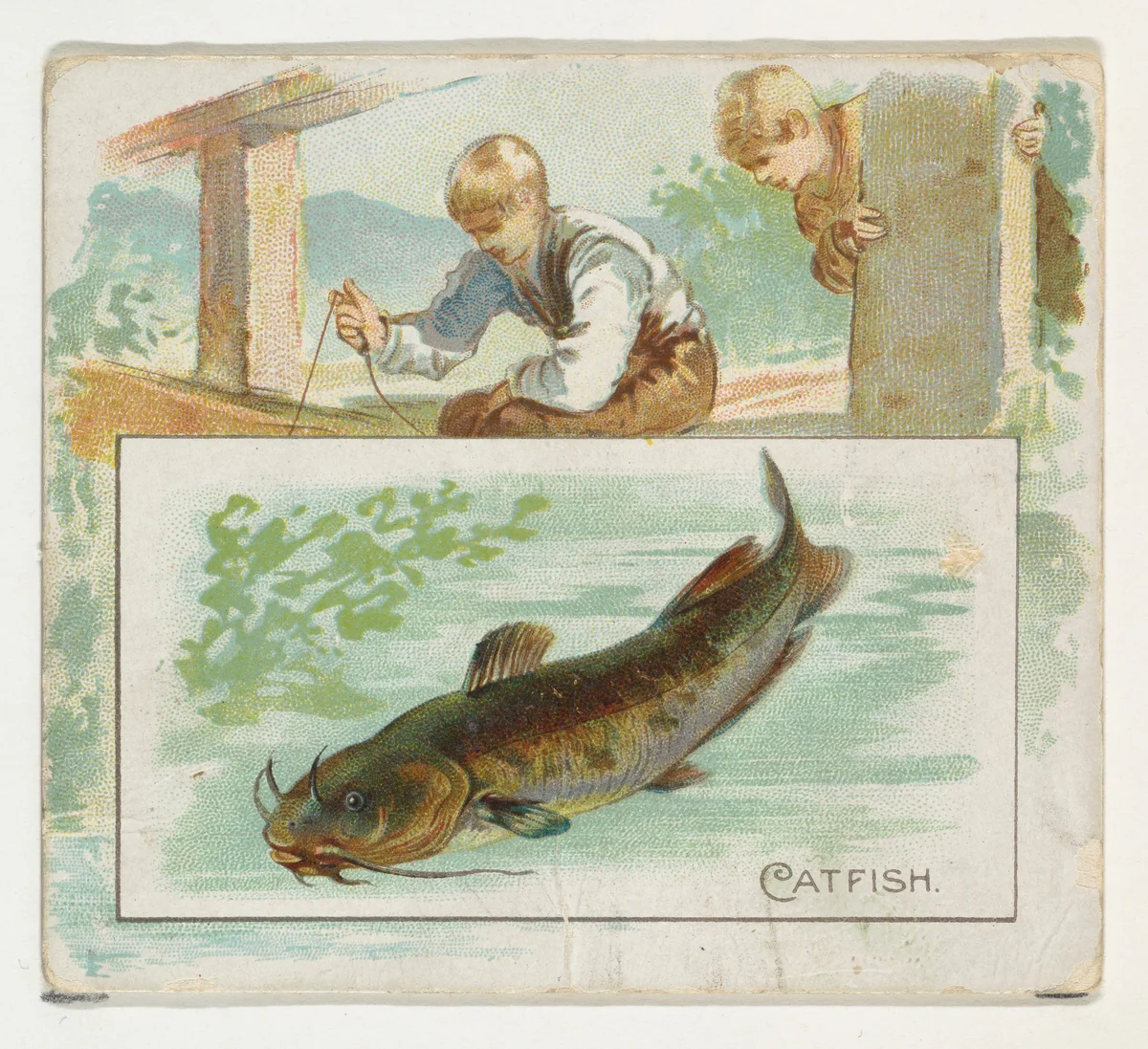 Catfish, from Fish from American Waters series (N39) for Allen & Ginter Cigarettes by Allen & Ginter, print, 1889