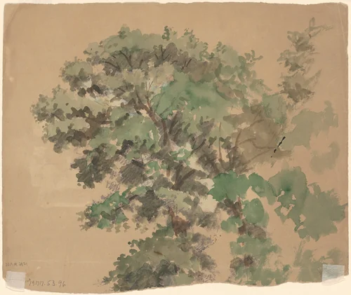 Tree [verso] by Enoch Wood Perry, Jr., drawing, 1870-1900