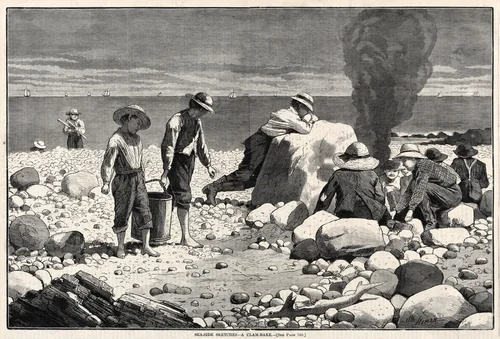 Seaside Sketches - A Clam-Bake by Winslow Homer, print, 1873