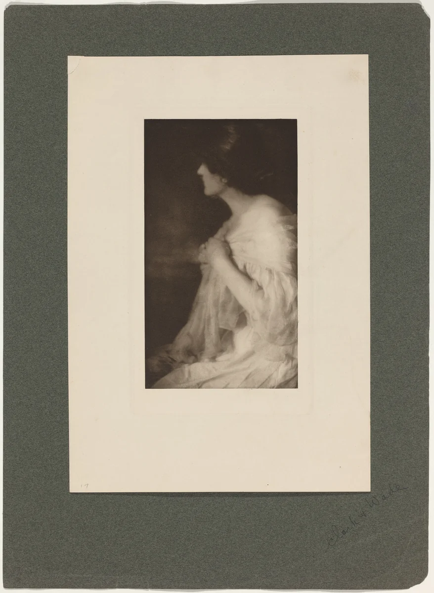 Miss M. of Washington by Rose Clark
Elizabeth Flint Wade, photograph, 1901