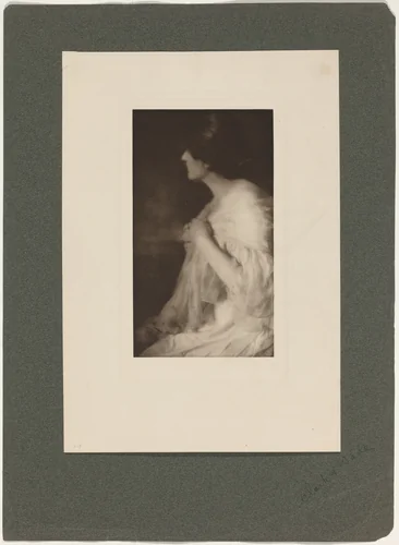 Miss M. of Washington by Rose Clark
Elizabeth Flint Wade, photograph, 1901