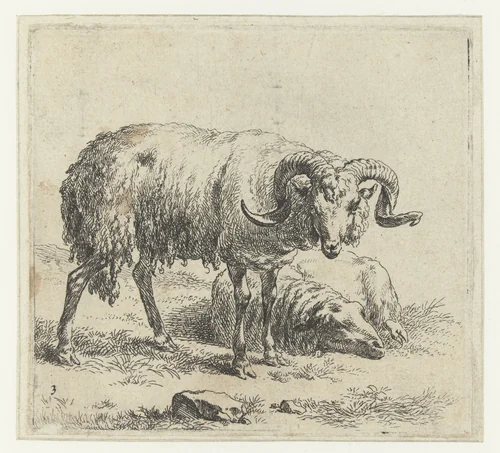 Ram en schaap by Nicolaes Pietersz Berchem, print, 1648-1652