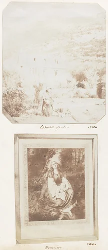 Caswell Garden; Geneviève by John Dillwyn Llewelyn, photograph, 1853-1856