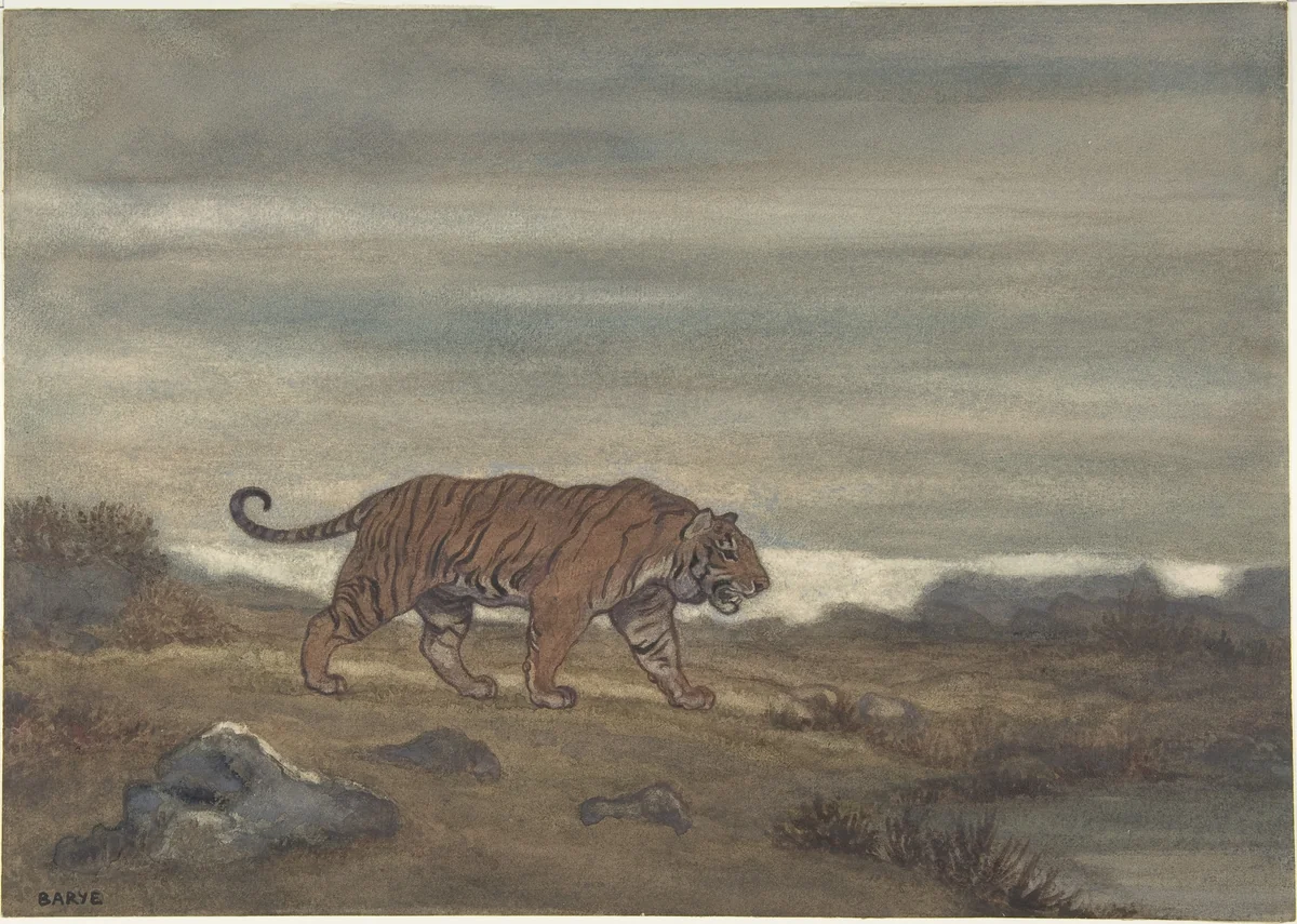 Tiger Approaching Pool by Antoine-Louis Barye, drawing, 1810-1875
