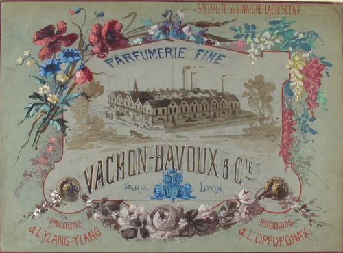 Parfumerie Fine: Vachon-Bachoux et Cie by anonymous, drawing, 1800-1900