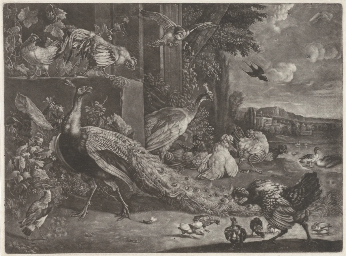 Landschap met gevogelte by anonymous, print, 1662-1726