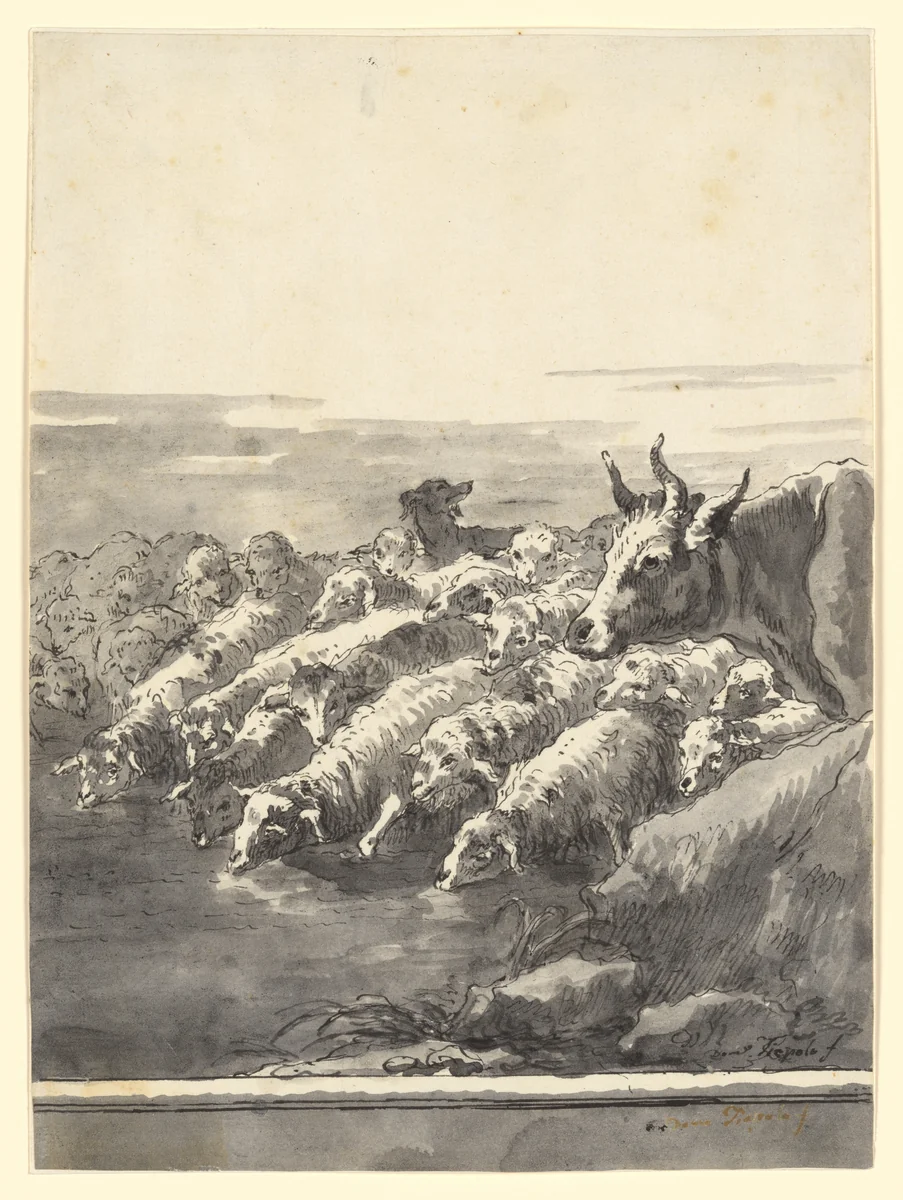 A Flock of Sheep Drinking at a Pool, with a Bullock and a Dog by Giovanni Domenico Tiepolo, drawing, 1763-1804