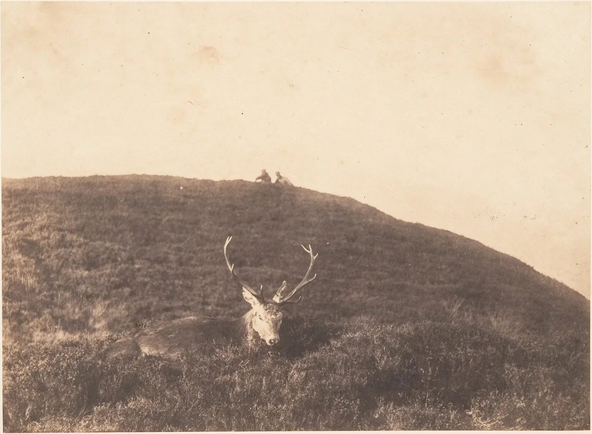 [Hunters Stalking a Deer] by Horatio Ross, photograph, 1857