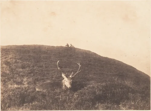 [Hunters Stalking a Deer] by Horatio Ross, photograph, 1857
