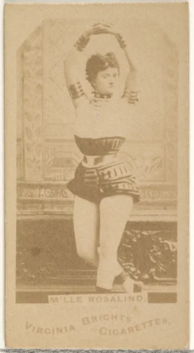 M'lle Rosalind, from the Actors and Actresses series (N45, Type 1) for Virginia Brights Cigarettes by Allen & Ginter, photograph, 1885-1891