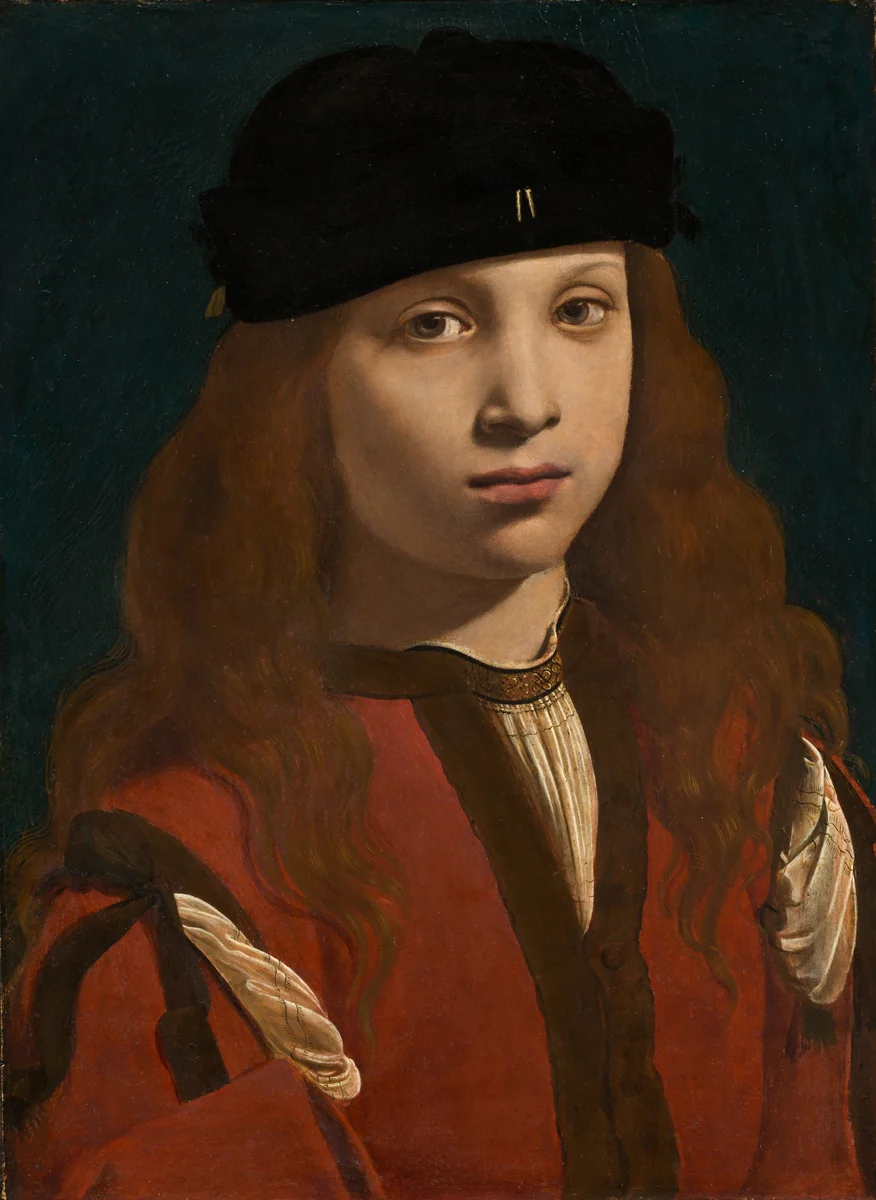 Portrait of a Youth by Giovanni Antonio Boltraffio, painting, 1495-1498
