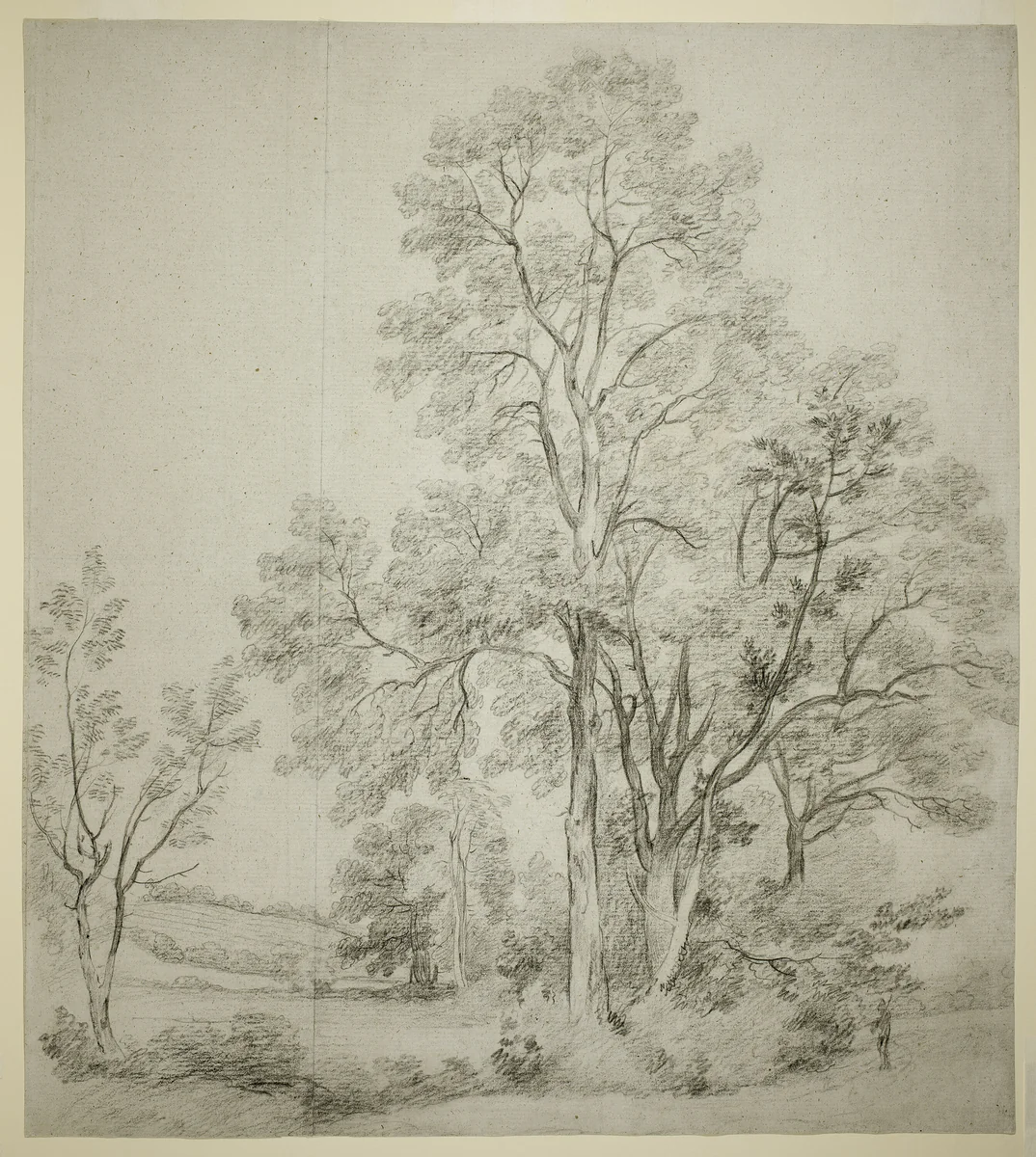 A Stand of Elm Trees (recto); A Study of East Bergholt with the Church (verso) by John Constable, drawing, 1797-1807