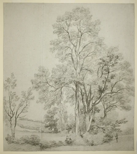 A Stand of Elm Trees (recto); A Study of East Bergholt with the Church (verso) by John Constable, drawing, 1797-1807
