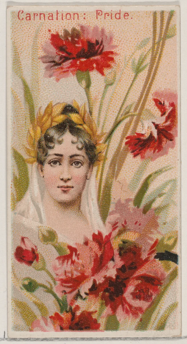 Carnation: Pride, from the series Floral Beauties and Language of Flowers (N75) for Duke brand cigarettes by American Tobacco Company, print, 1892