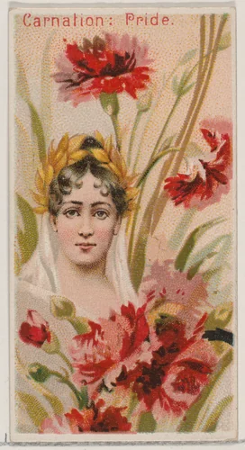 Carnation: Pride, from the series Floral Beauties and Language of Flowers (N75) for Duke brand cigarettes by American Tobacco Company, print, 1892