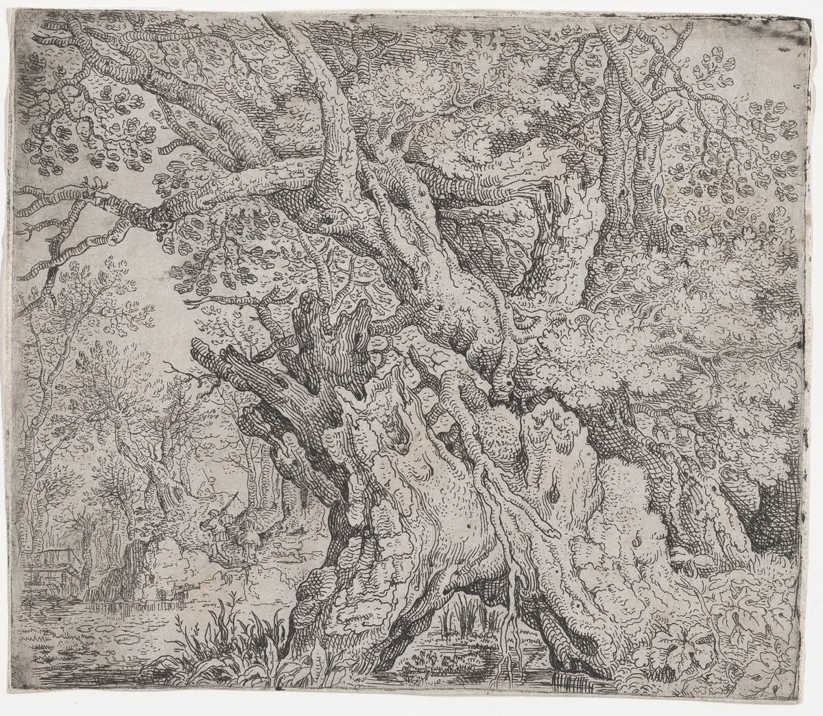 Gnarled Trees and Twisted Roots Before a Swamp by Roelandt Savery, print, 1603-1613