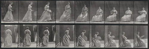 Plate Number 240. Sitting and flirting a fan by Eadweard Muybridge, photograph, 1887