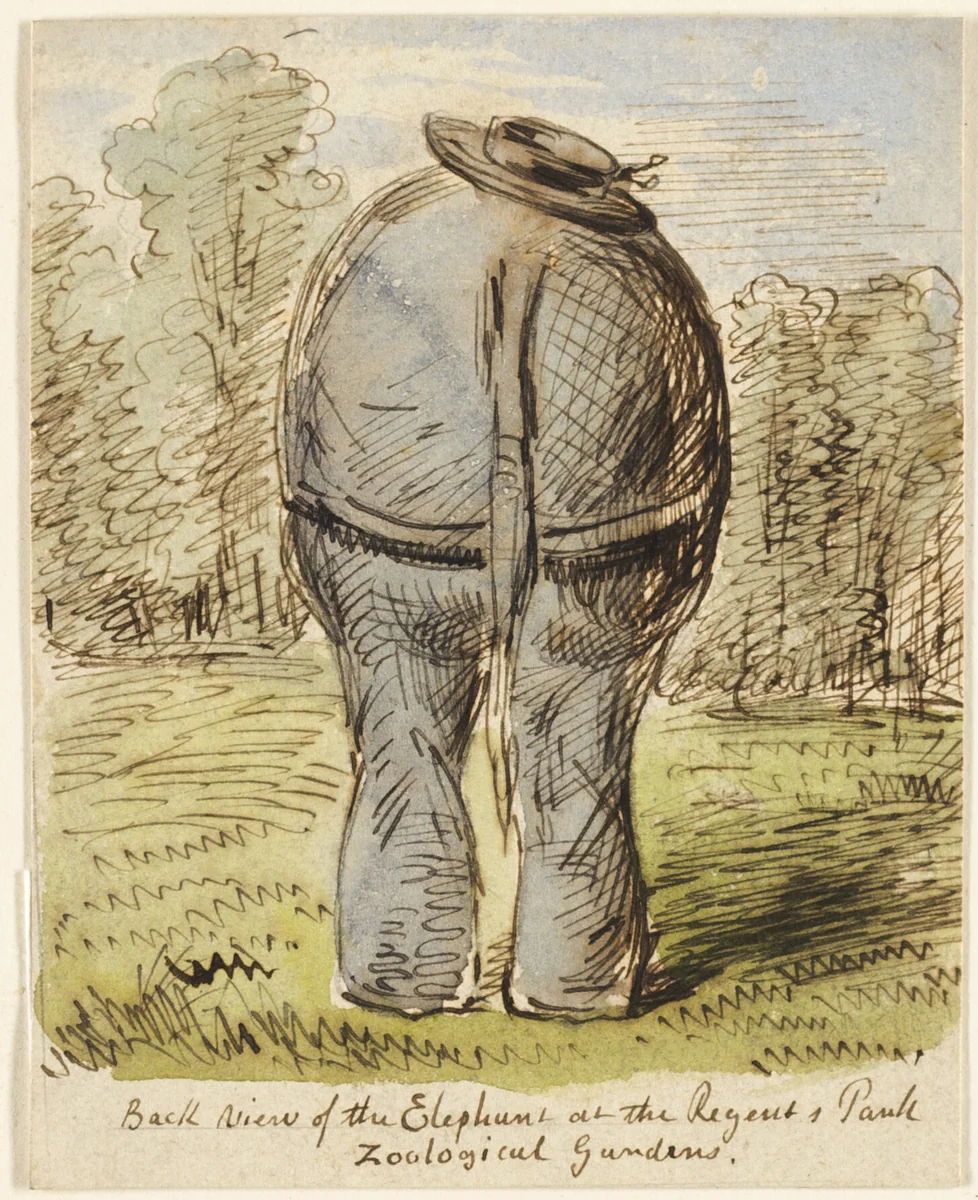 Back View of the Elephant at the Regent's Park Zoological by John Leech, painting, 1837-1864