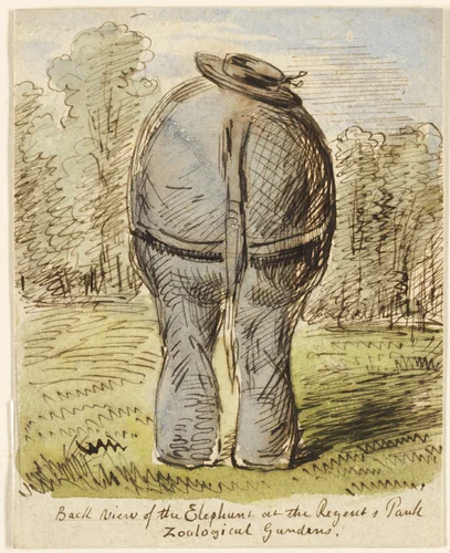 Back View of the Elephant at the Regent's Park Zoological by John Leech, painting, 1837-1864