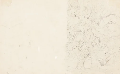 Trees [verso] by David Cox, drawing, 1831