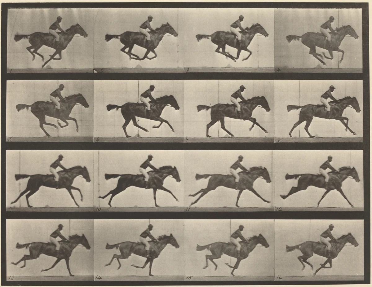 Plate Number 626. Gallop, thoroughbred bay mare, Annie G. by Eadweard Muybridge, photograph, 1887