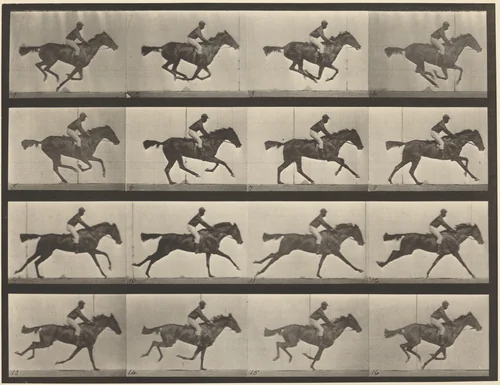 Plate Number 626. Gallop, thoroughbred bay mare, Annie G. by Eadweard Muybridge, photograph, 1887