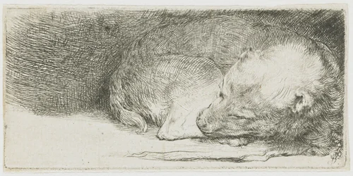 Slapend hondje by Rembrandt van Rijn, print, 1640